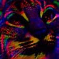 Farrah-Day Cage (@mszygomatic) 's Twitter Profile