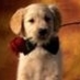 Rene (@skullnboner) Twitter profile photo