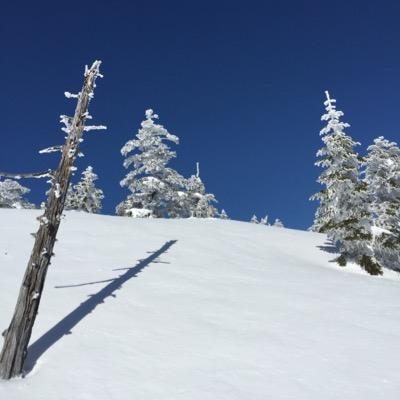 冬はスキー、バックカントリー、夏は少々登山。
そろそろ転職したい