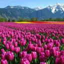 grand maa_young (@05b384a769dc45f) Twitter