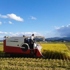 宮城県伊具郡丸森町で約20haの田んぼでお米を作っている稲作専門の専業農家です。