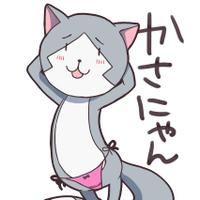 かさねこ (@ksnk09143) Twitter profile photo