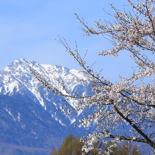 bfarm414's profile picture. 写真好き。撮影対象は猫のいる風景時々ポートレート。