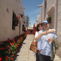 Roberto Persivale (@rpersivale) 's Twitter Profile