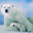 Stephen Hutton - @2bears - Twitter