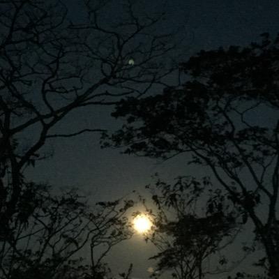 arelisenriquez's profile picture. 