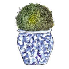 pottedboxwood's profile picture. Design lover of all things timeless, some things trendy, and everything chic.