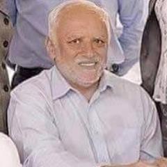 Hide The Pain Harold