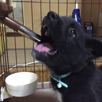 lyzlov_vseslav's profile picture. 初めまして。大阪の市内に在住中！趣味/ダーツ/投資/コミュニケーションをとる事。