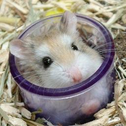 faltadesono's profile picture. 