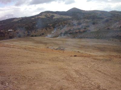 daniel_torrejon's profile picture. otra. finca.  conplada