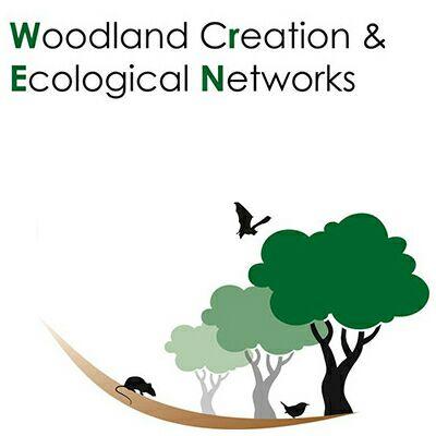 Woodland Creation and Ecological Networks research project. Tweeting project news and information about woodland conservation and landscape ecology.