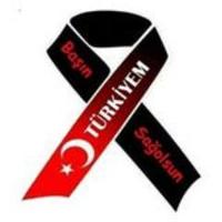 Ali Kemal ALPARSLAN(@alikemalalprsln) 's Twitter Profile Photo