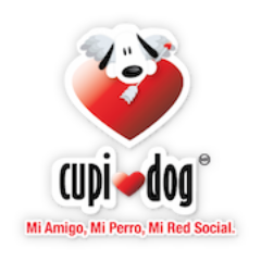 Cupidog es la primera red social para las personas que sus perros no son una mascota, son de su familia Unete! http://t.co/5oUKAlqKDG