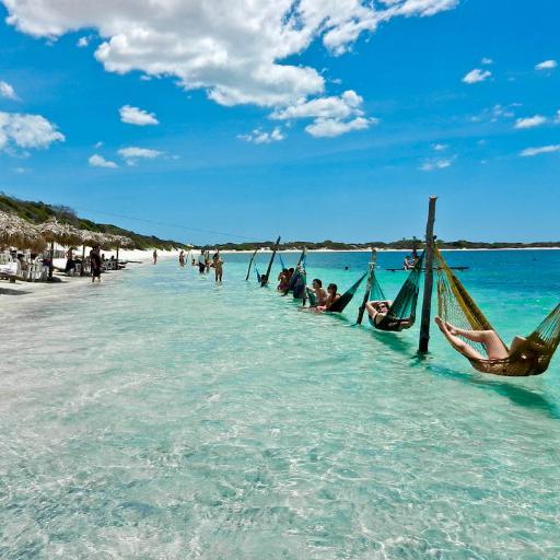 PatrinyHadassa1's profile picture. É preciso que o discípulo da sabedoria tenha o coração grande e corajoso. O fardo é pesado e a viagem longa.