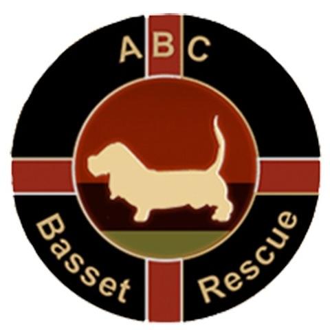 All Bassets Cherished Basset Hound Rescue: a non-profit, all volunteer organization. We rescue, rehabilitate&place homeless basset hounds in loving, safe homes.