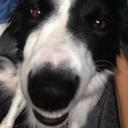 Shari Goldfarb - @Tweetsfrom_Jack - Twitter