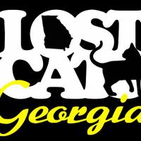 Lost Cats Georgia(@LostCatsGA) 's Twitter Profile Photo