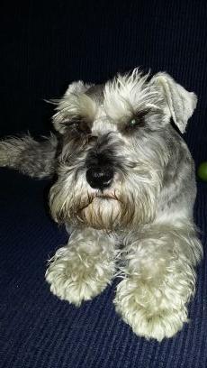 nightingaleneo1's profile picture. 