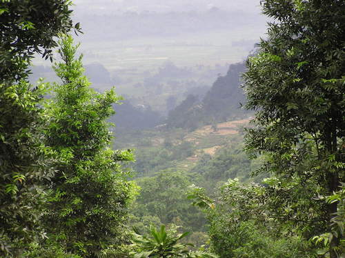 ccbase's profile picture. 