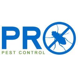 The Experts in Removal & Pest Control For Your Home at Pro Pest Control Brisbane