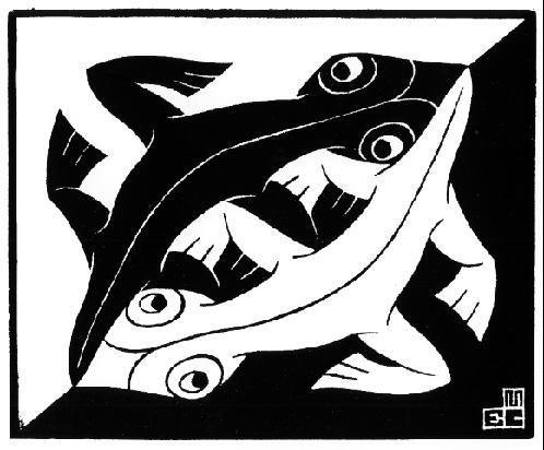 romanastaroth's profile picture. 