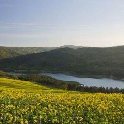 Il Comitato per la tutela del paesaggio dell'Alta Irpinia ha come obbiettivo la tutela del nostro territorio e non ha alcun indirizzo politico.