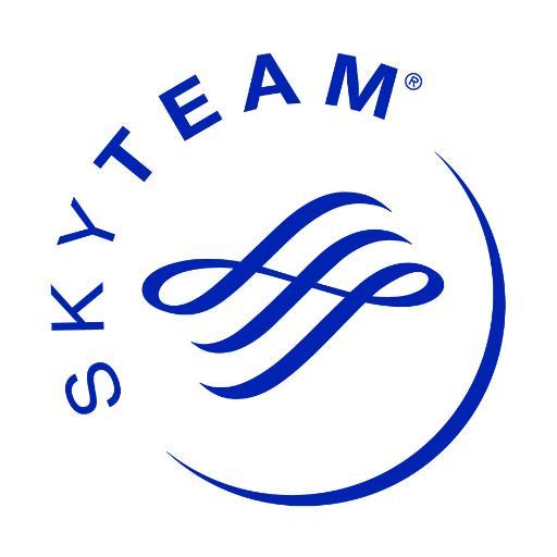 SkyTeam