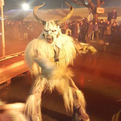 custodia57's profile picture. 