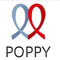 POPPY (@poppystudy) 's Twitter Profile