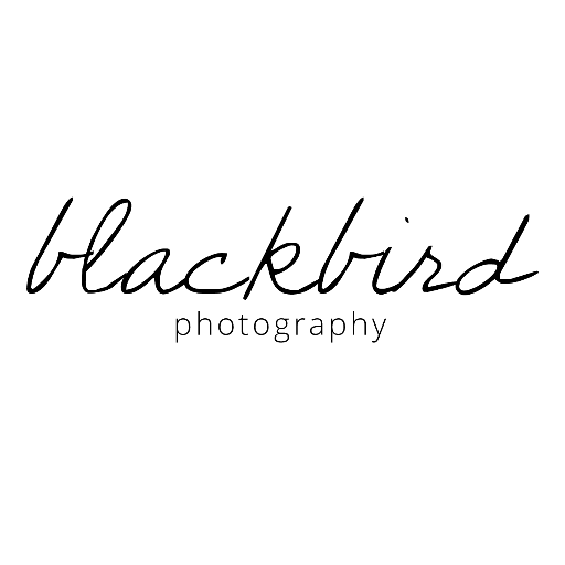 Blackbird Photography is Johannesburg based wedding photographer. I specialise in Wedding Photography, Couples Photography and Engagement shoots.