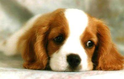 Monika00222608's profile picture. 