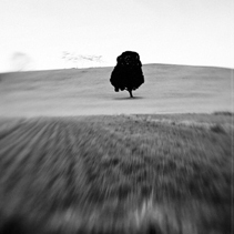 philip_park's profile picture. 일상의 발견..