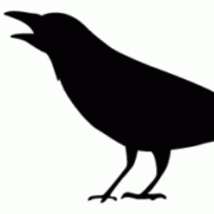 Crowsintodai's profile picture. 