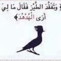 ali_alwasim (@aalwasim) 's Twitter Profile Photo ali_alwasim (@aalwasim) 's Twitter Profile Photo
