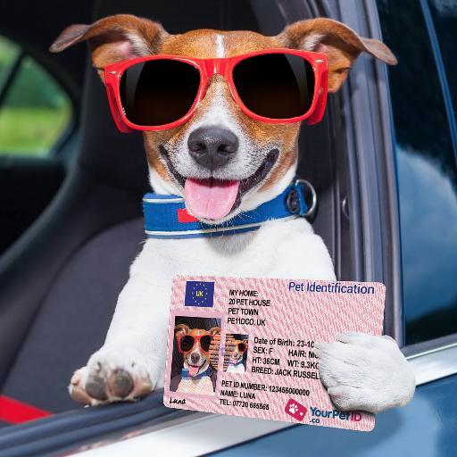 Never Lose Your Dog! Get Your Personalised Pet ID Drivers License Tag. Our profits go directly to re-homing, sheltering, feeding and medical treatment for Dogs!