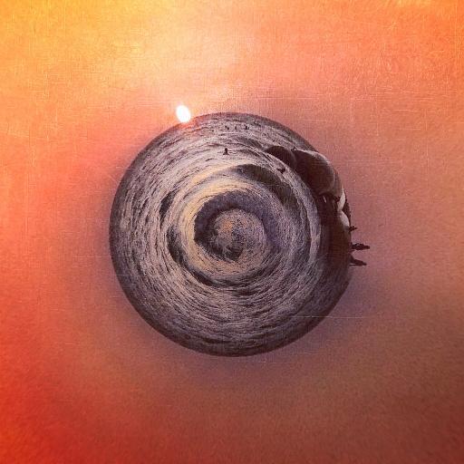 MrsTracyLewis's profile picture. 