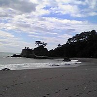 シュレディンガーの猫の餌★三度の飯より、本とラテン語・漢文と。 (@shanqi_a) 's Twitter Profile Photo