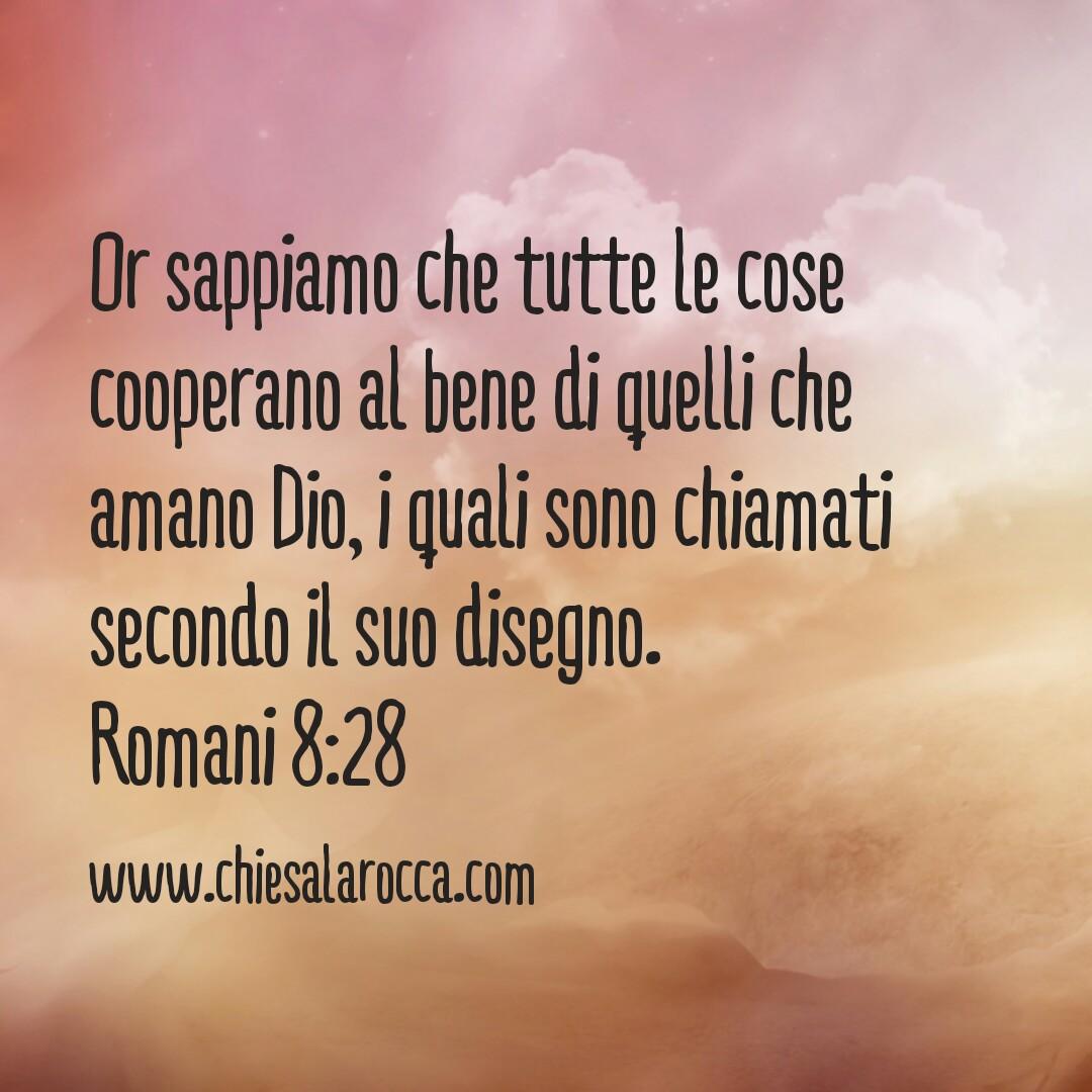I am a Follower of Jesus Christ that lives in Italy. I am interested in spreading the faith in Jesus where I live.