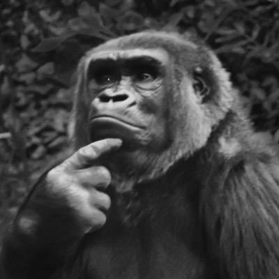 magnuslidman's profile picture. 