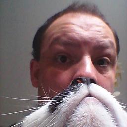 PhillH71's profile picture. 