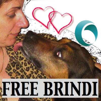 HELP ME SAVE my best friend Brindi, wrongly seized & held in isolation at the city pound for 8 yrs & expose the cover-up hiding her fate https://t.co/A3L5ZwwLD