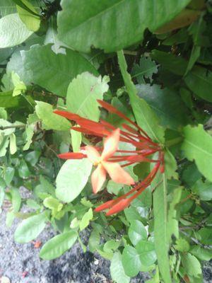 yarman_elaine's profile picture. 