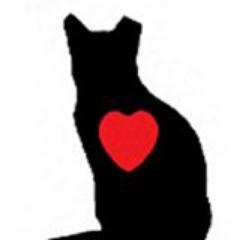 mcccats's profile picture. Mid-Cities Community cats is a
 501c3 devoted to advocacy and support of Trap-Neuter-Vaccinate-Return for community cats, alley cats, stray cats, tom cats, etc.
