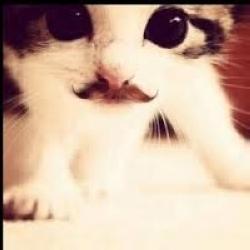 lucy_xox8's profile picture. 