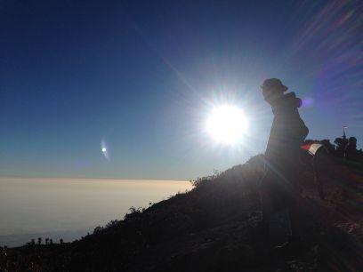 randykawijaya's profile picture. 