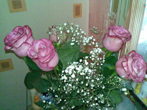 Rozetych's profile picture. 