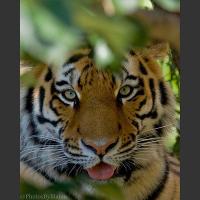 photosbyblaine (@photosbyblaine) 's Twitter Profile Photo