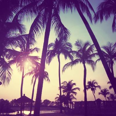 shania_chelsea's profile picture. where I'm meant to be ..