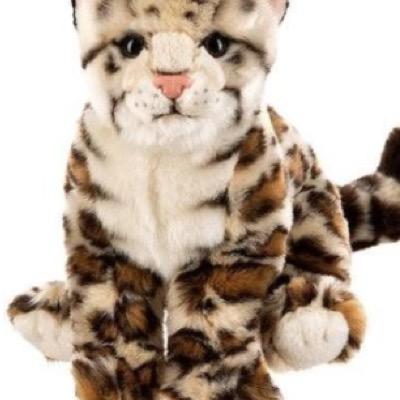 foxgirl207's profile picture. 